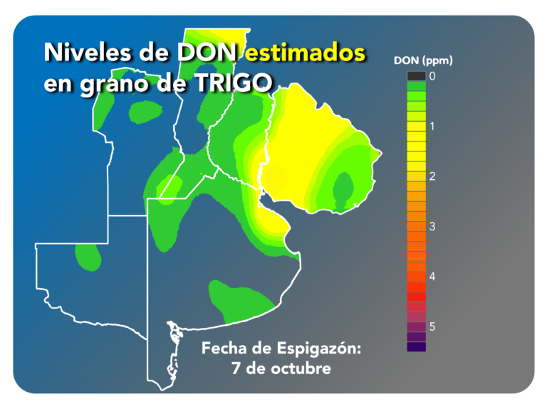 Fusariosis de la Espiga de Trigo (complejo FET/DON)